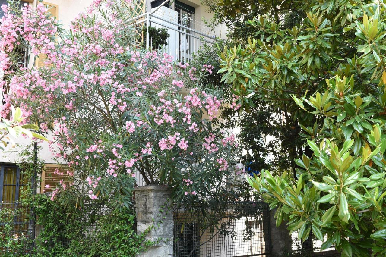 Le Rondinelle *